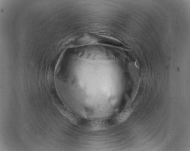 X0000067900623200604271854