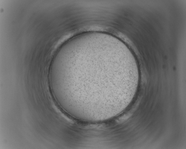 X0000067900625200604271853