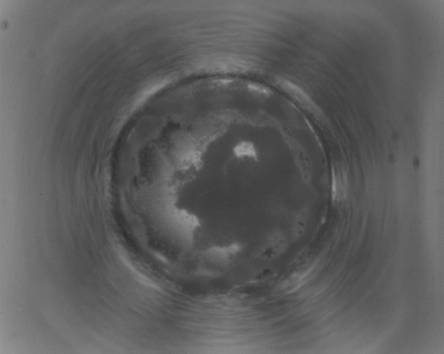 X0000067900627200604271853