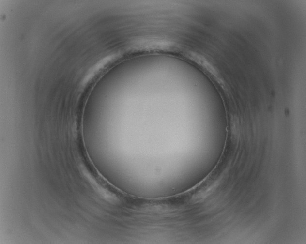 X0000067900629200604271853