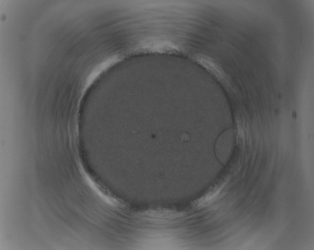 X0000067900630200604271853