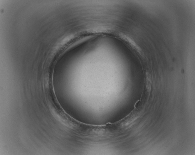 X0000067900631200604271853