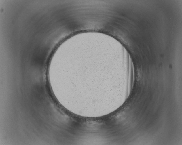 X0000067900632200604271853