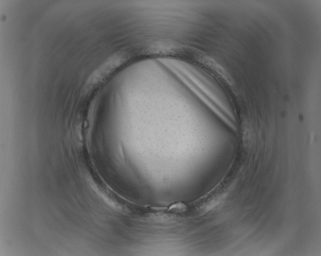 X0000067900633200604271853