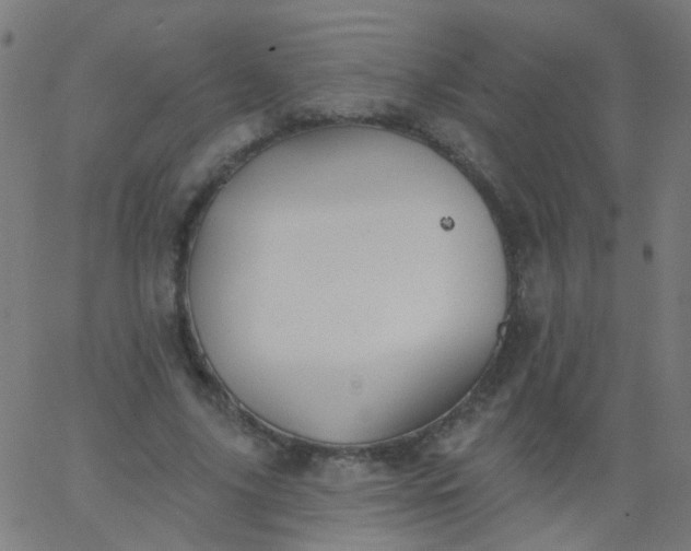 X0000067900635200604271853