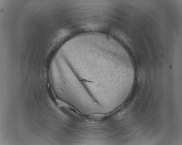 X0000067900637200604271853