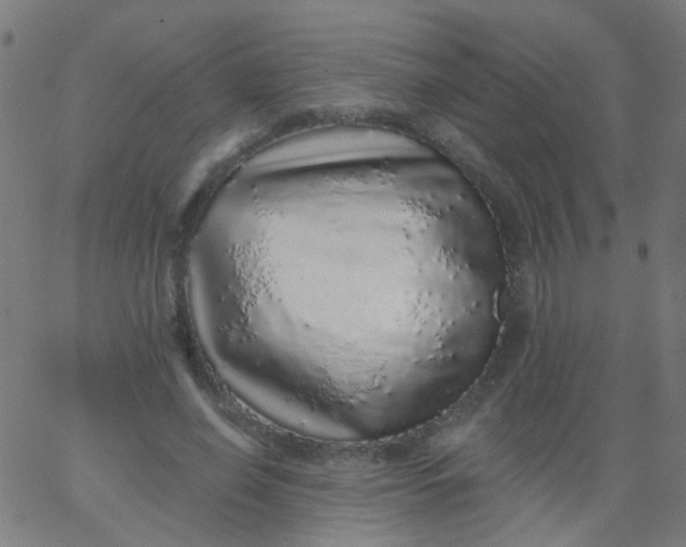 X0000067900638200604271853