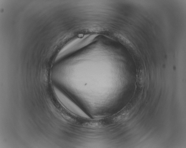 X0000067900639200604271853