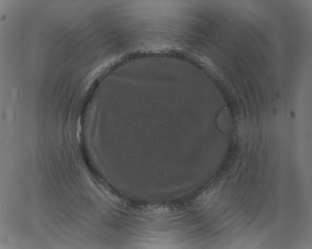 X0000067900640200604271853