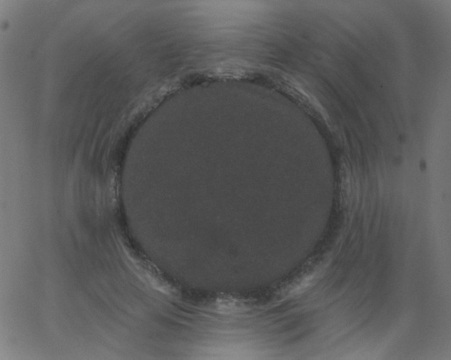 X0000067900641200604271853