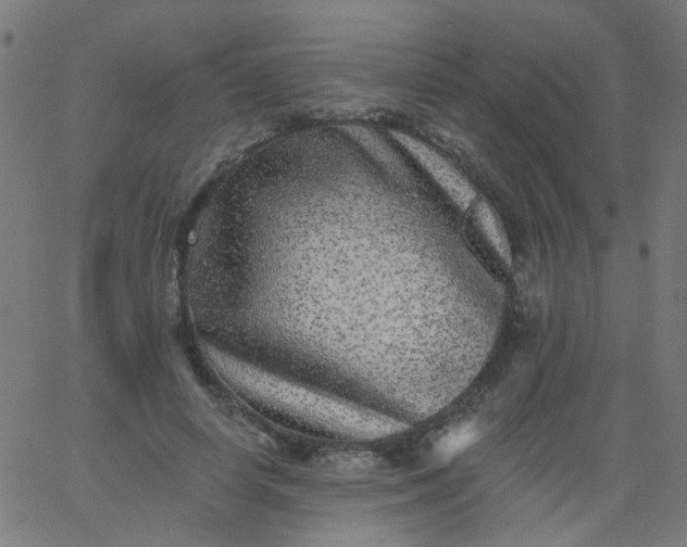 X0000067900642200604271853