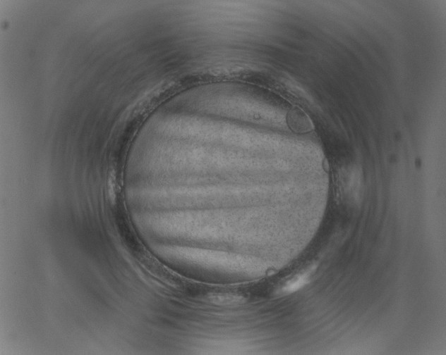 X0000067900644200604271853