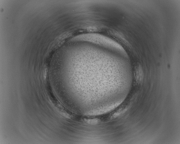 X0000067900645200604271853