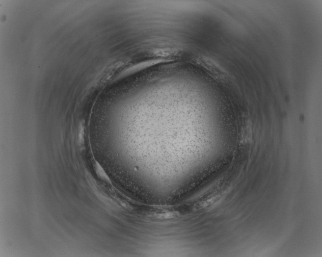 X0000067900646200604271853