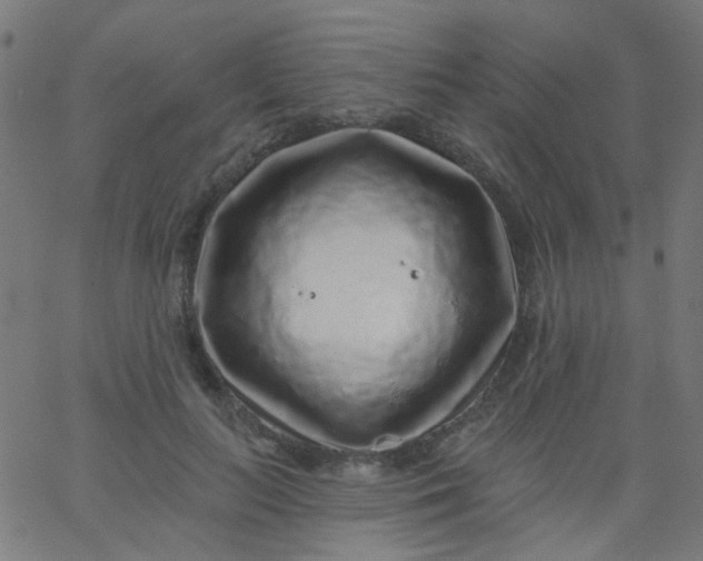 X0000067900647200604271854