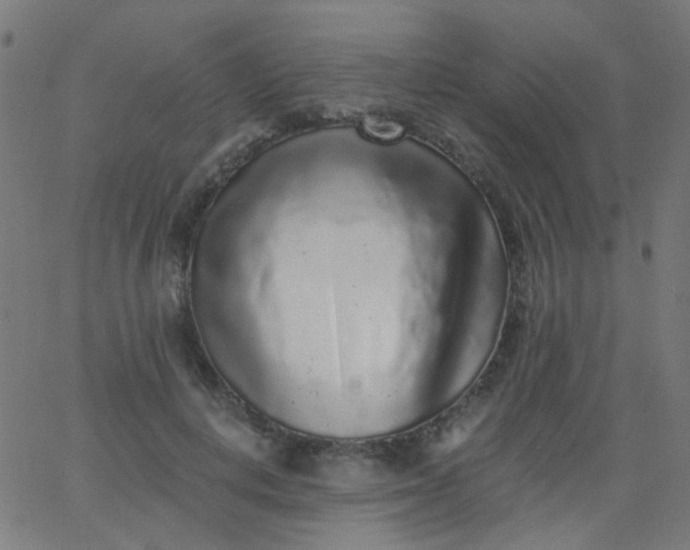 X0000067900648200604271854