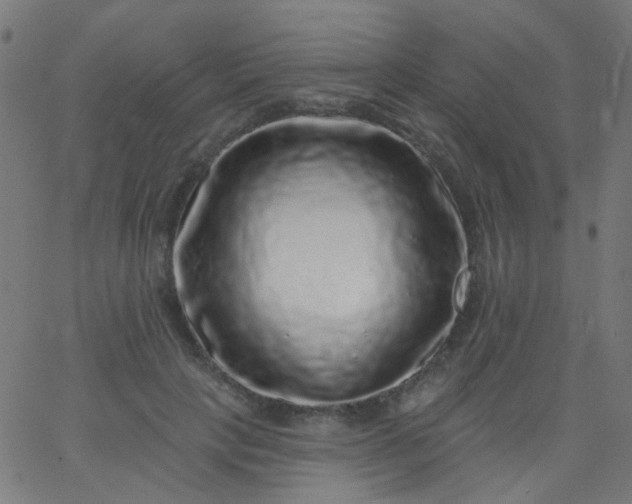 X0000067900649200604271854