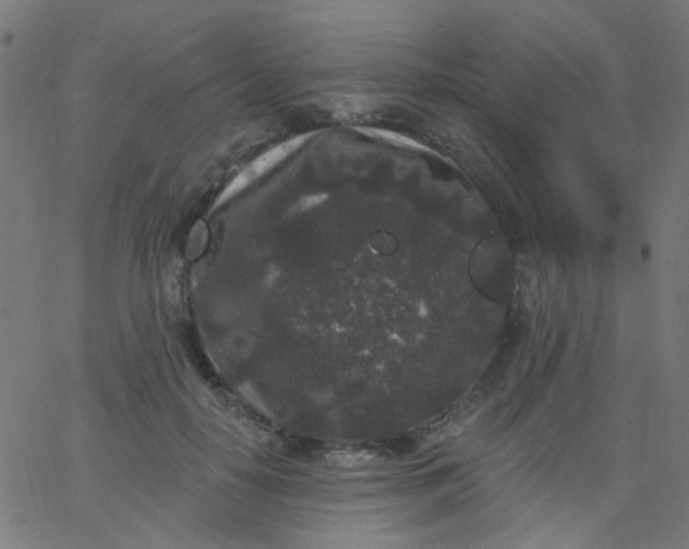 X0000067900650200604271854