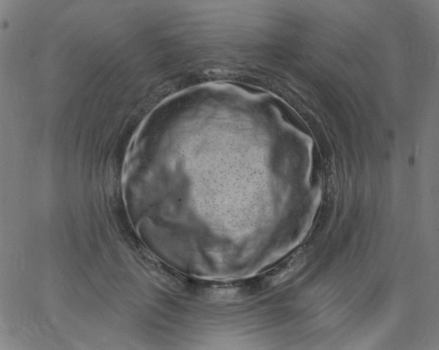 X0000067900651200604271854