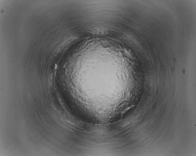 X0000067900652200604271854