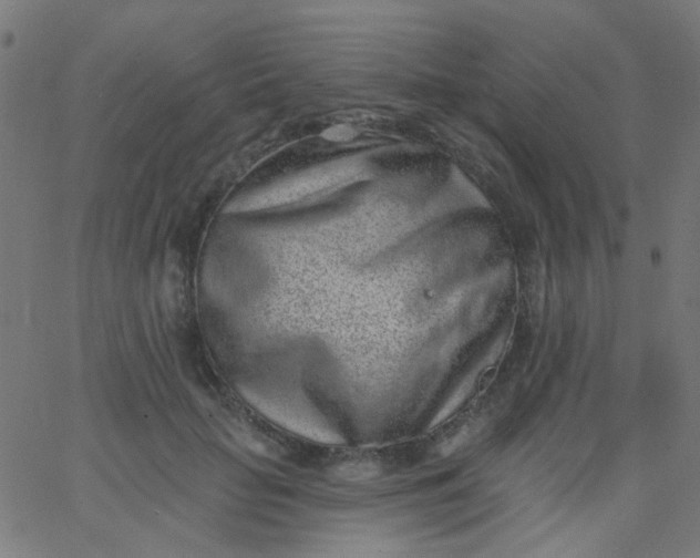 X0000067900653200604271854