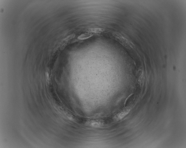 X0000067900655200604271854