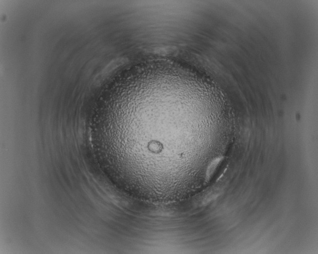 X0000067900656200604271854