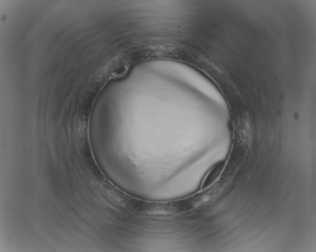 X0000067900657200604271854