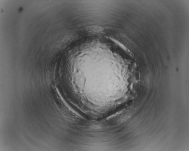 X0000067900658200604271854