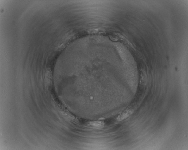 X0000067900659200604271854