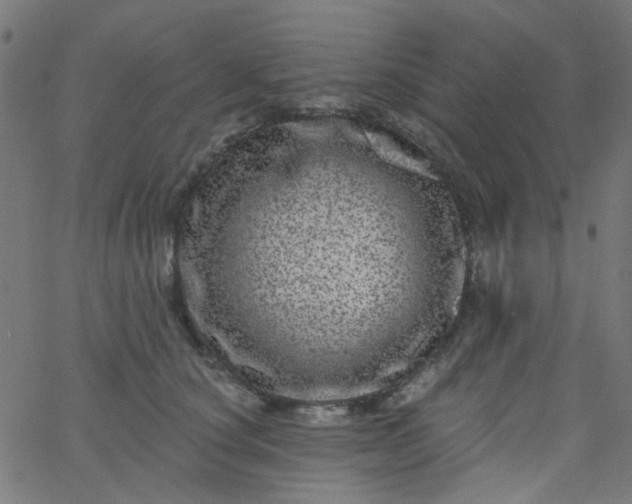 X0000067900660200604271854