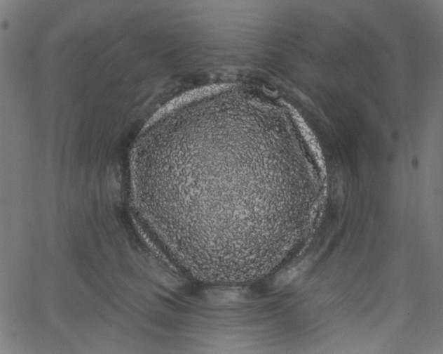 X0000067900661200604271854