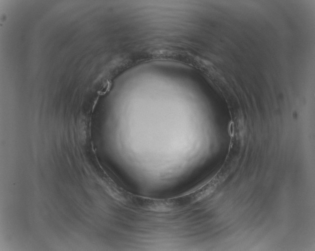 X0000067900664200604271854