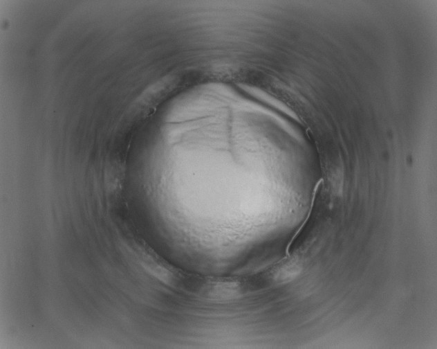 X0000067900665200604271854