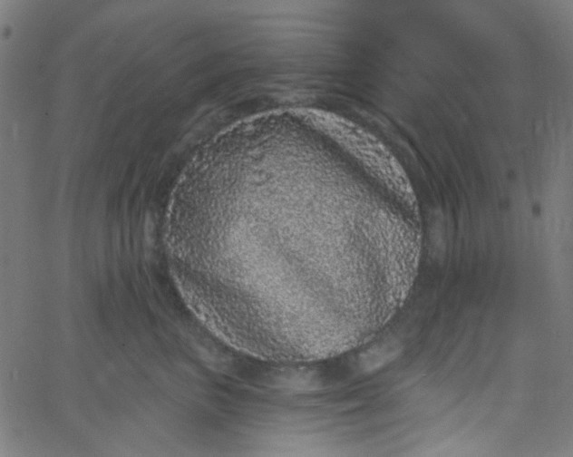 X0000067900667200604271854