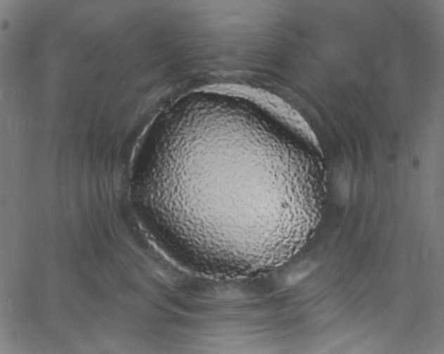 X0000067900668200604271854