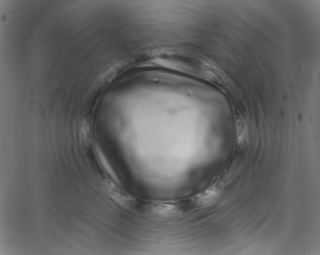 X0000067900669200604271854