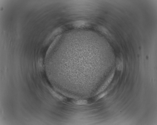 X0000067900670200604271854