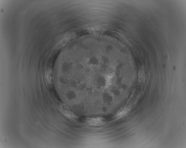 X0000067900671200604271854