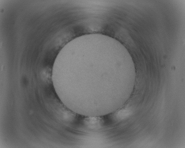 X0000067900672200604271854