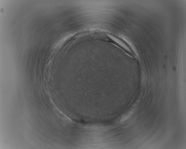 X0000067900673200604271853