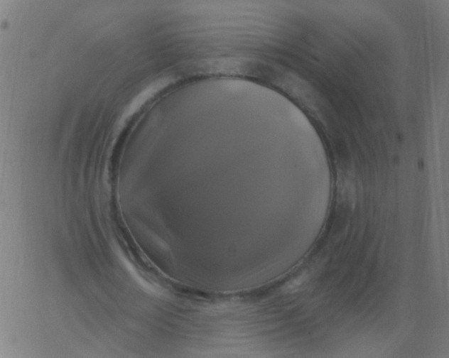 X0000067900674200604271853