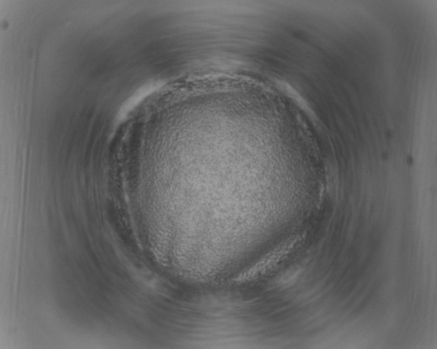 X0000067900675200604271853