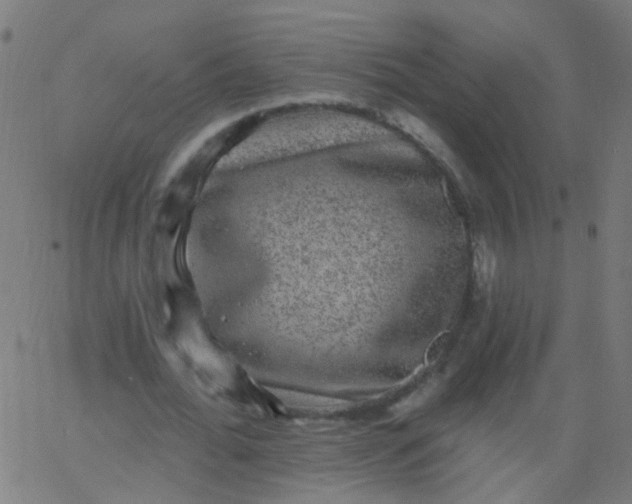 X0000067900676200604271853