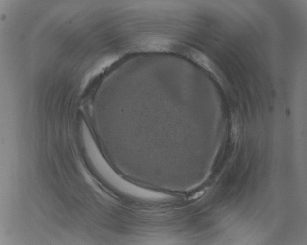 X0000067900677200604271853