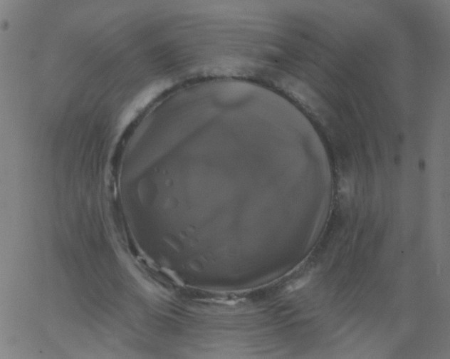 X0000067900678200604271853