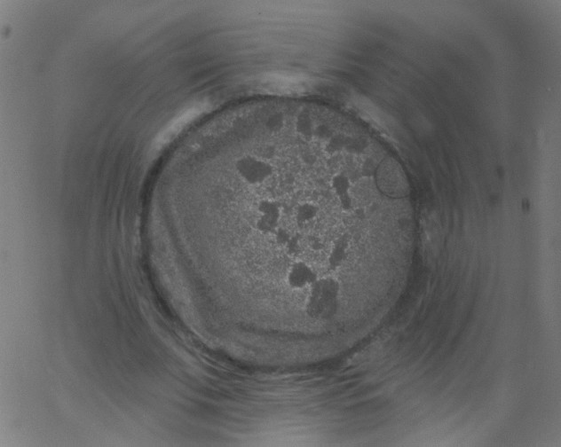 X0000067900679200604271853