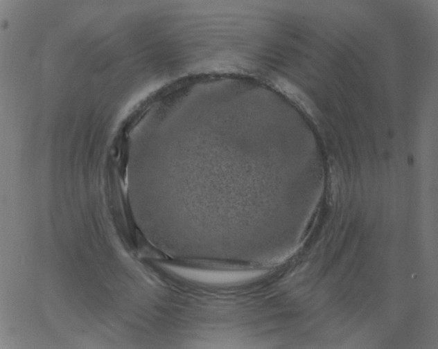 X0000067900680200604271853