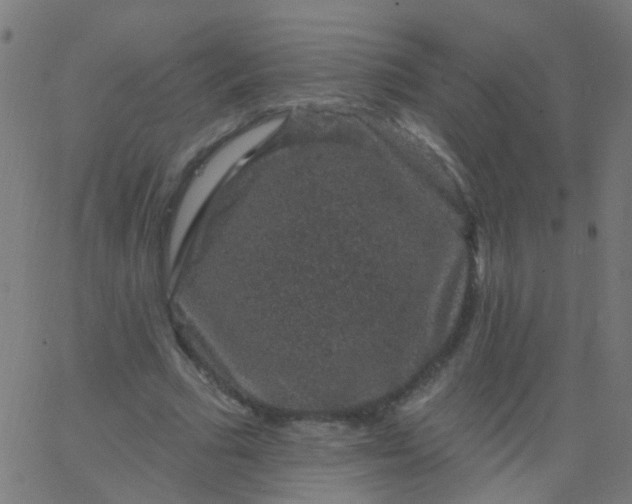 X0000067900681200604271853