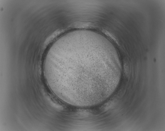 X0000067900682200604271853